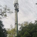 gestión proyectos, red fija, red móvil, despliegue nacional , 5g, 4g, 3g